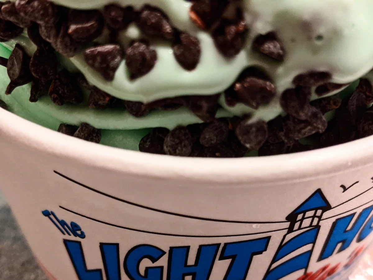Mint Chocolate Chip Ice Cream