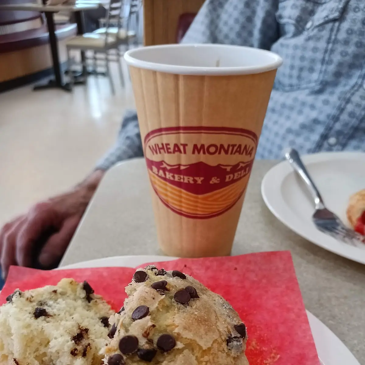 Choc Chip Muffin
