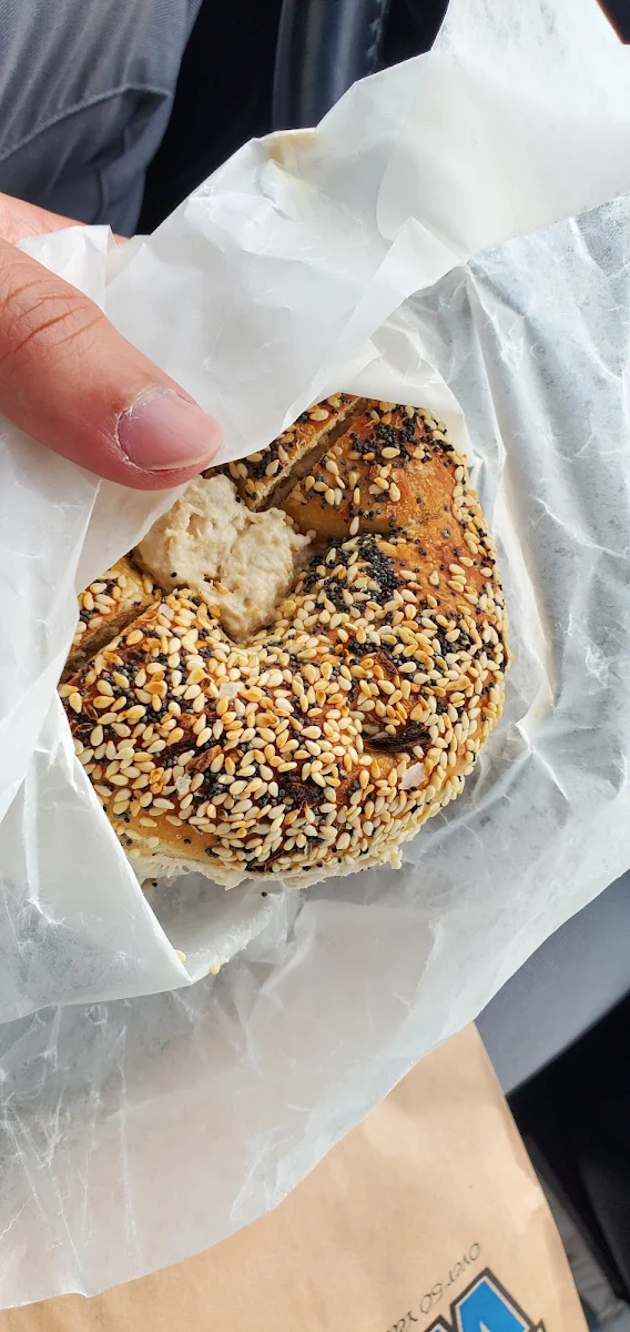 Tuna on a Everything Bagel