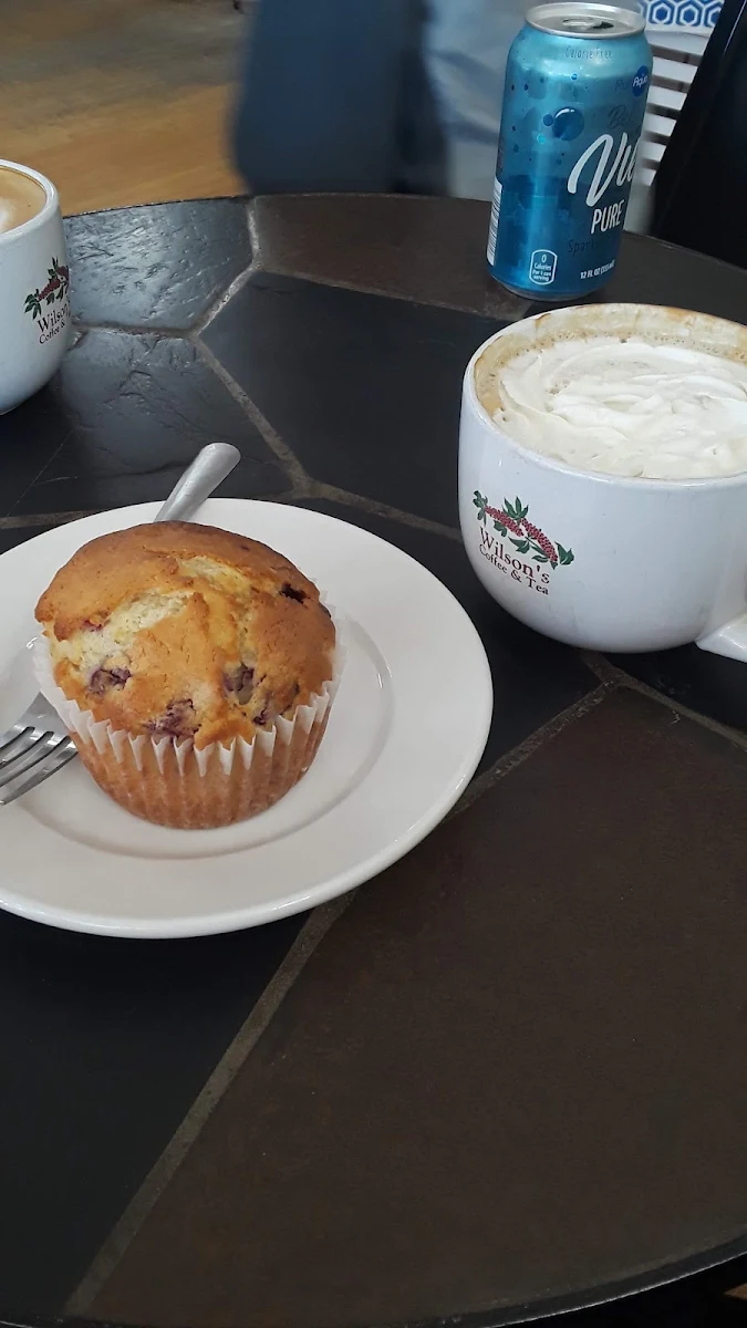 Blueberry Muffin