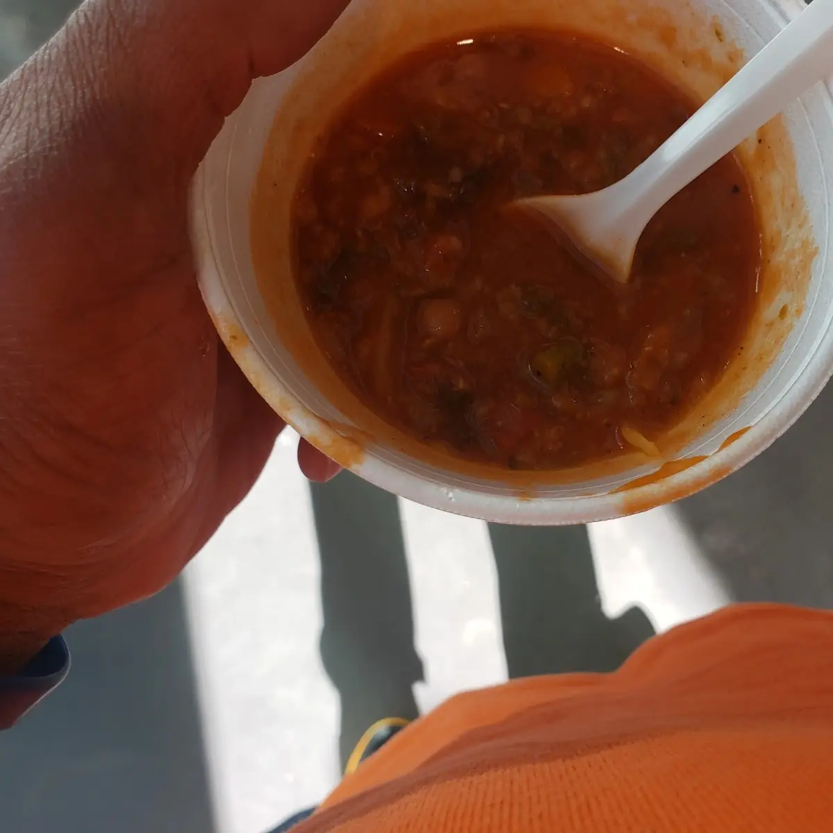 Vegetable Soup