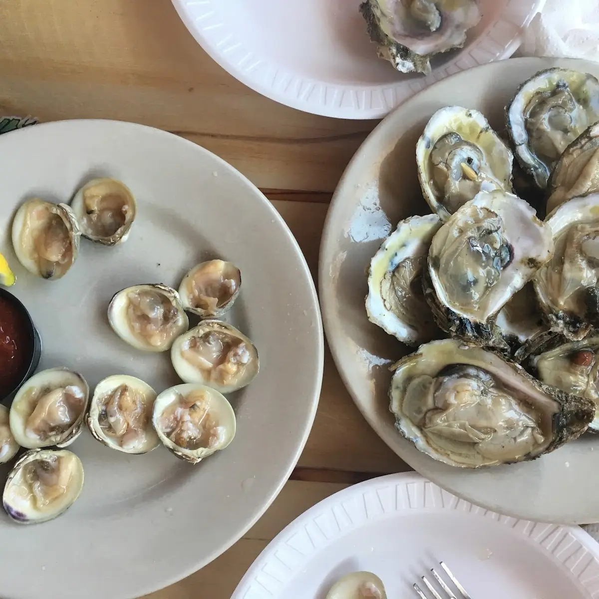 Fresh East Coast Oysters