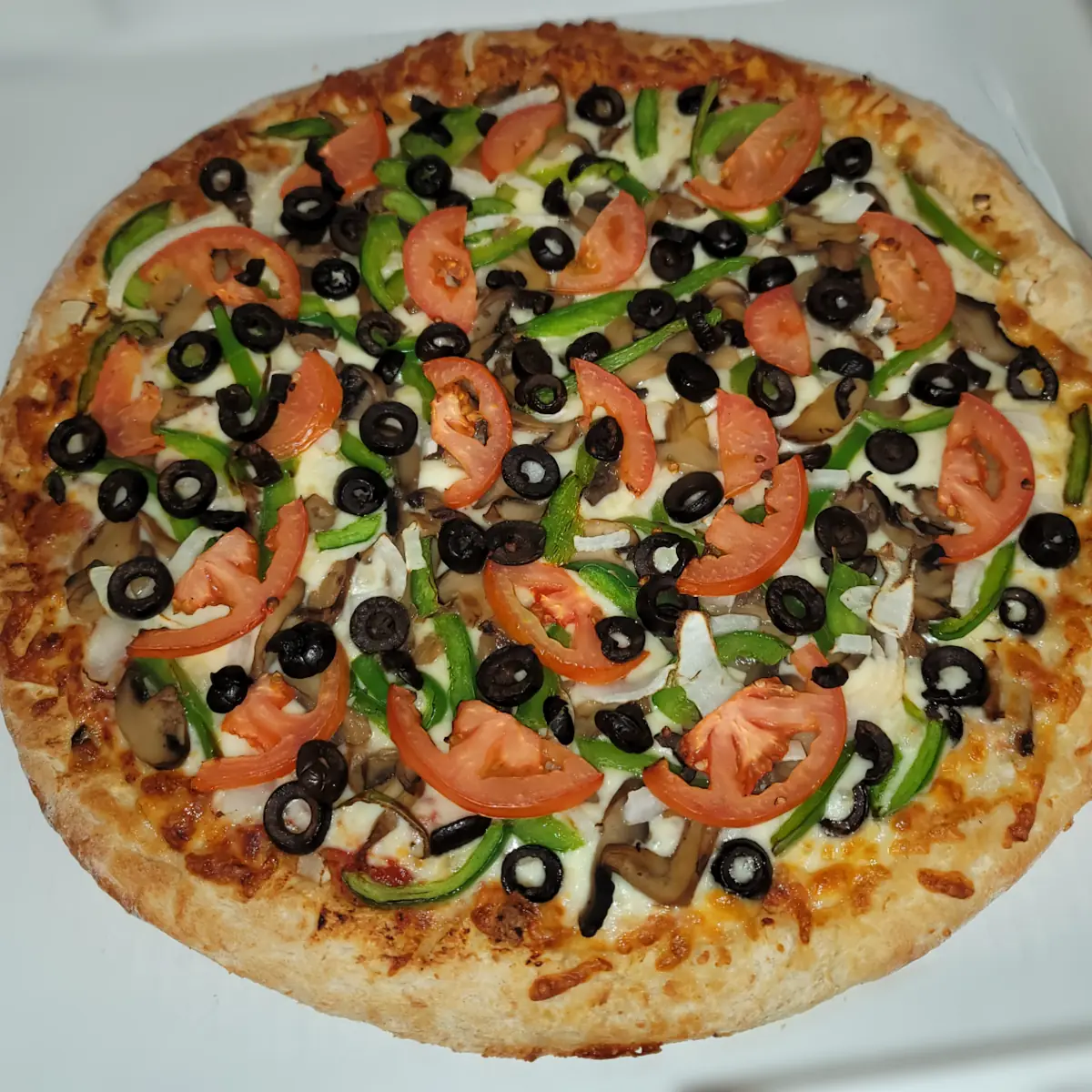 Large Round Vegetarian Pizza