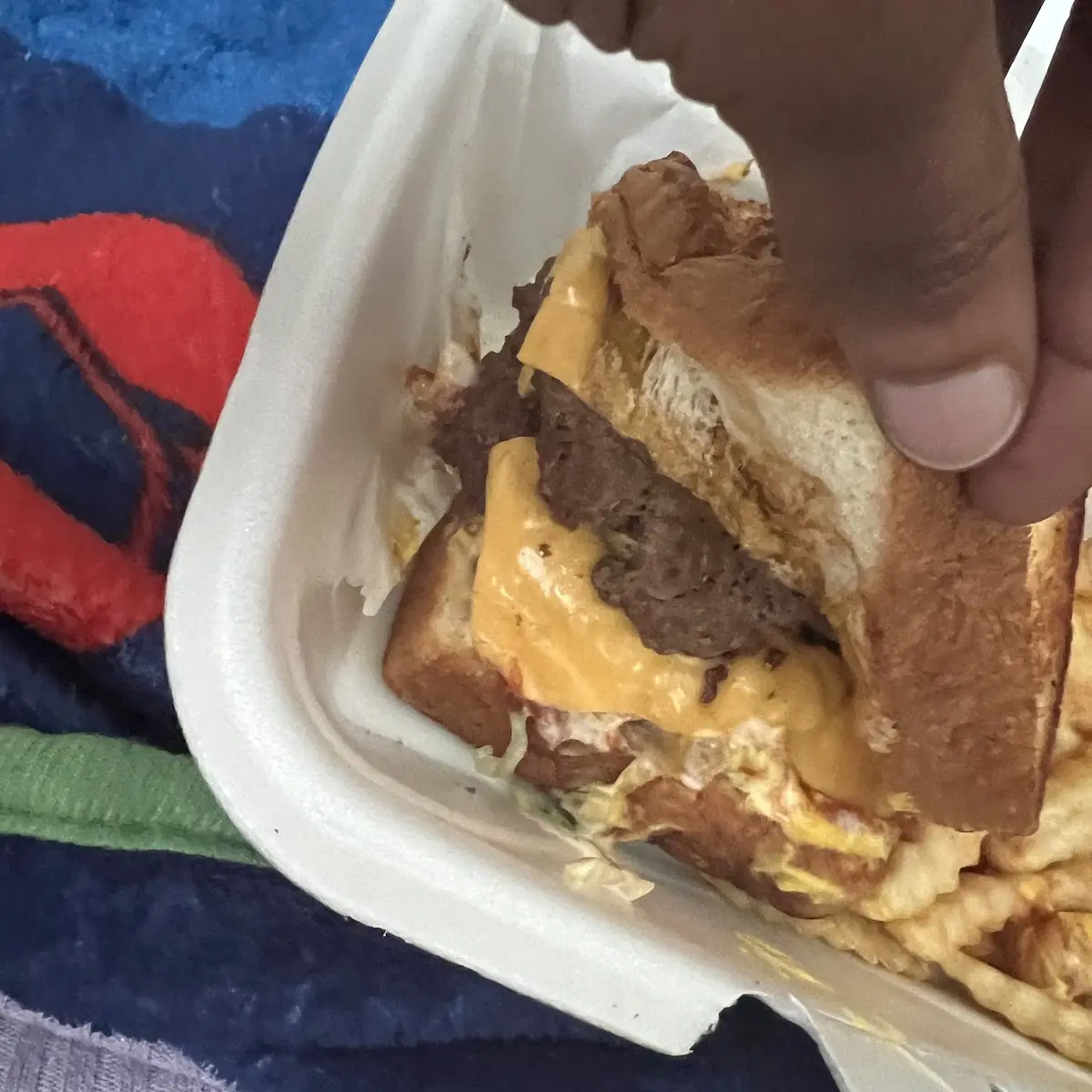 Double Cheese Burger