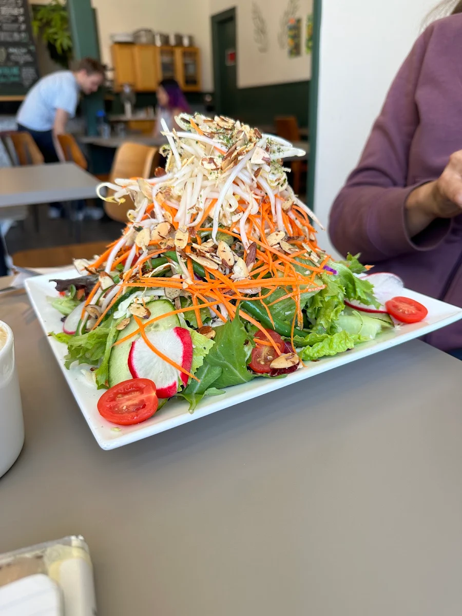 Chinese Chicken Salad