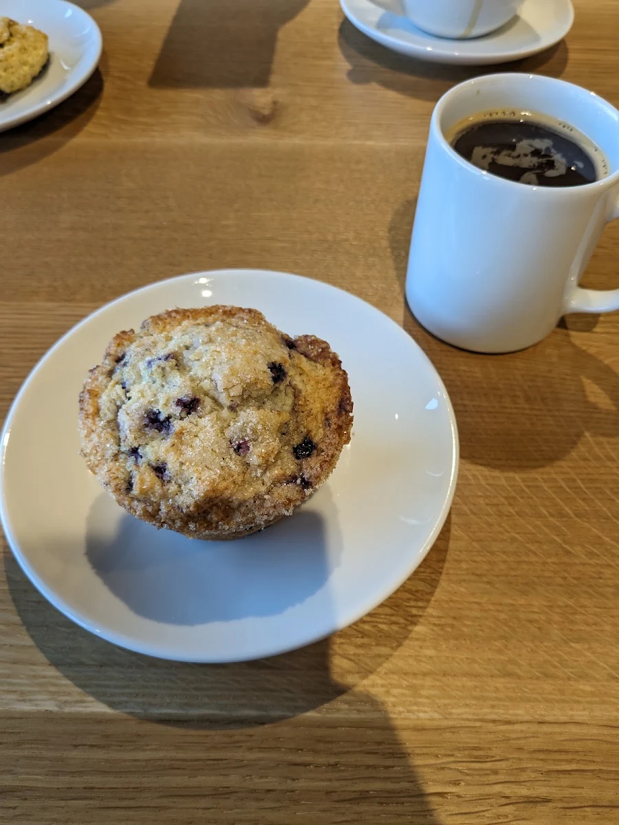 Blueberry Muffin