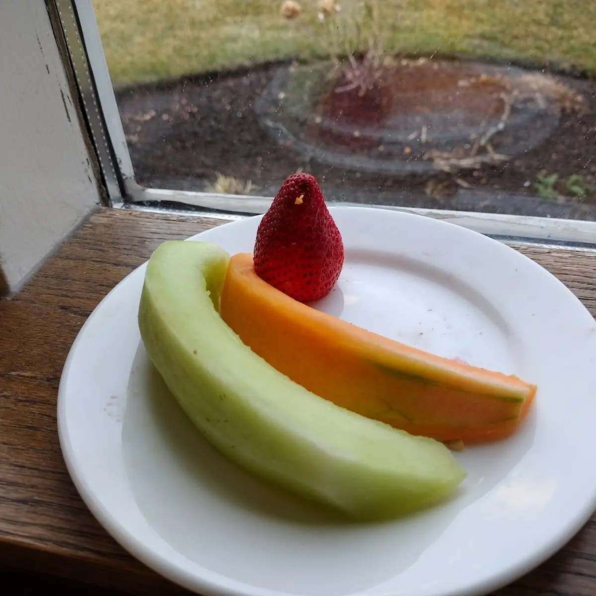 Fresh Fruit Plate