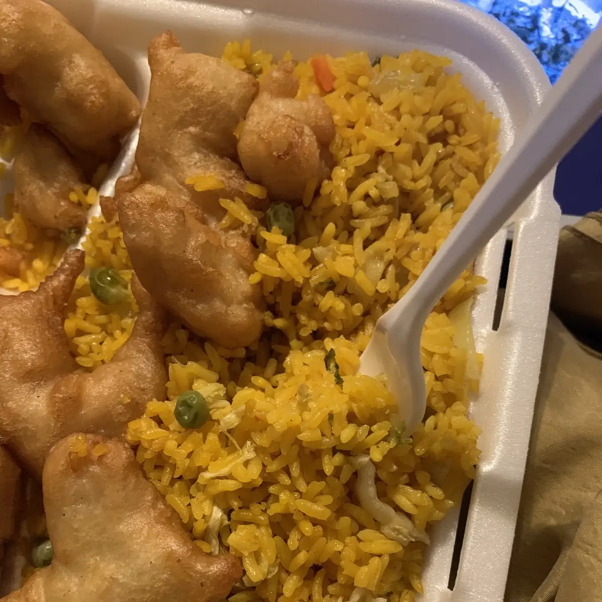 Chicken & Shrimp Combo