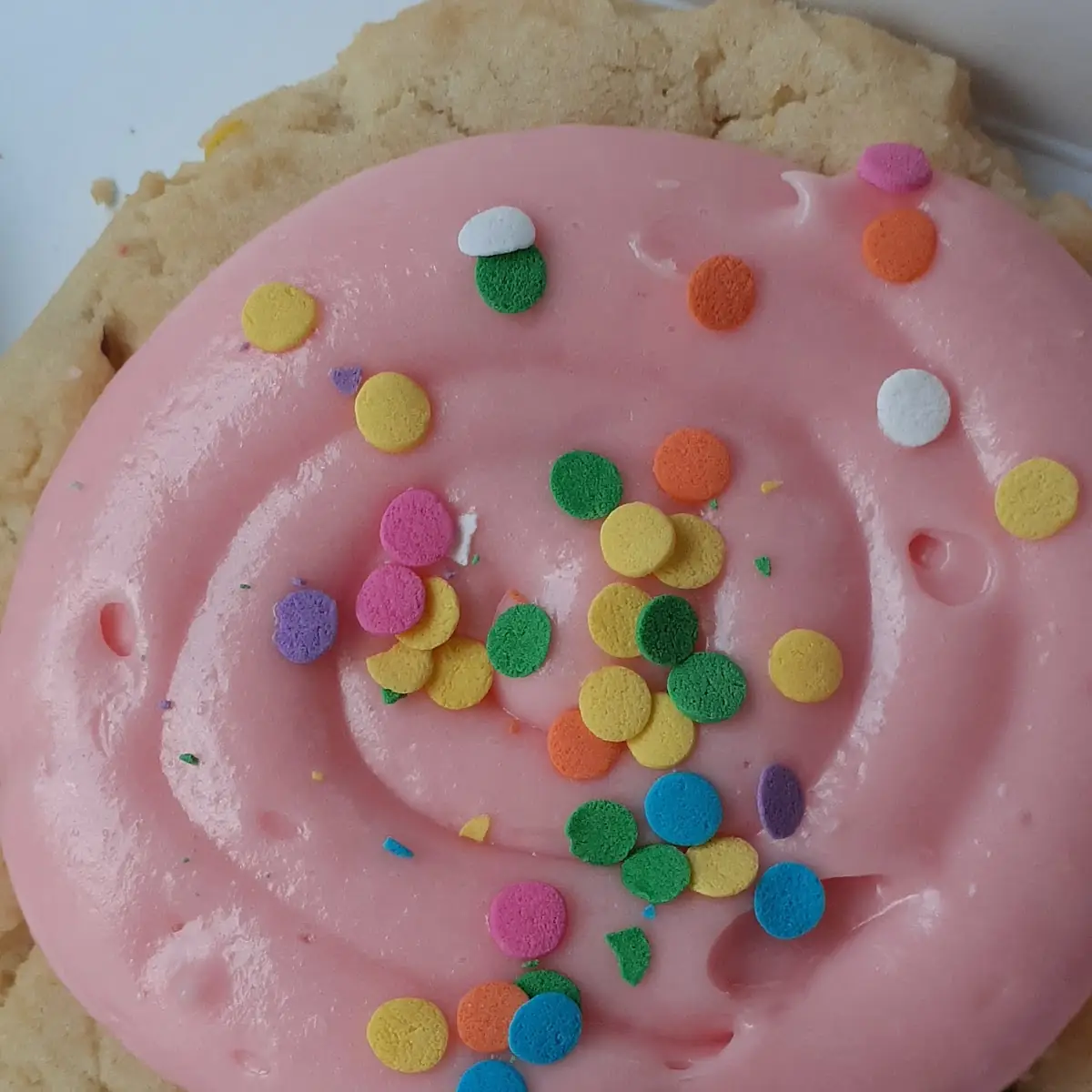Sugar Cookie