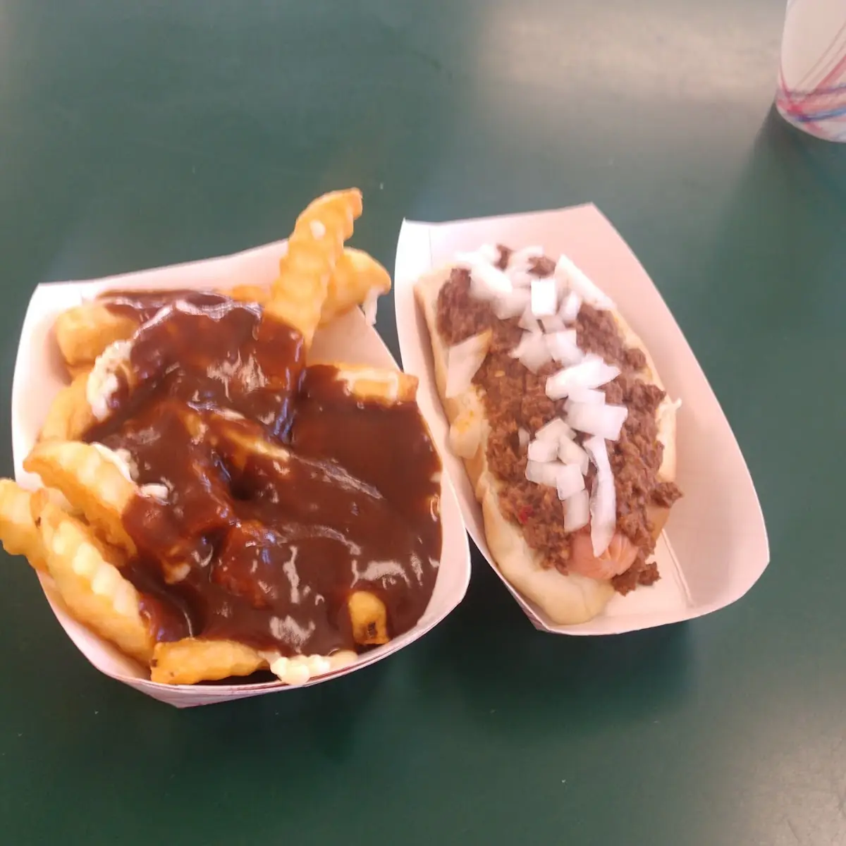 Gravy and Cheese Fries