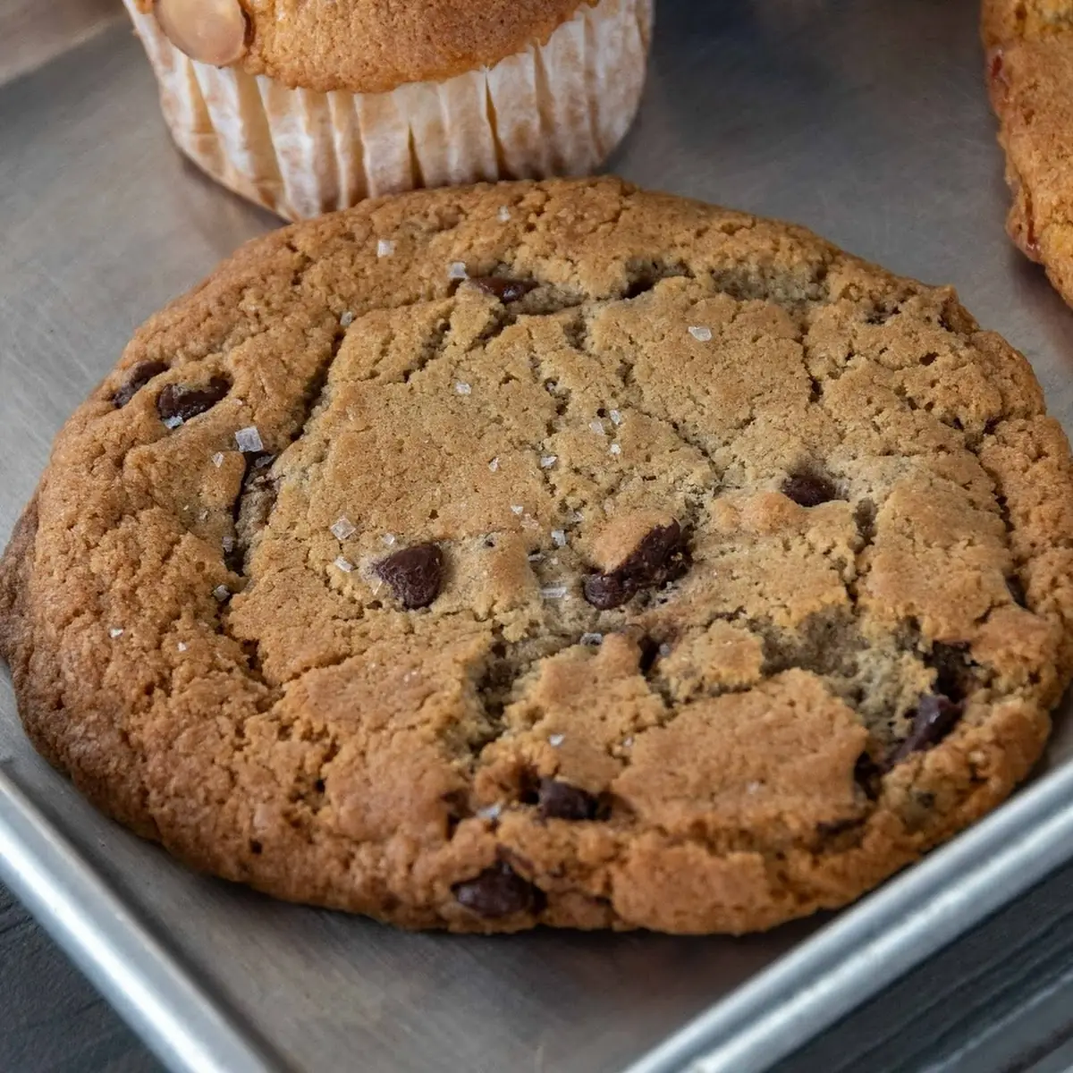 Chocolate Chip Cookie
