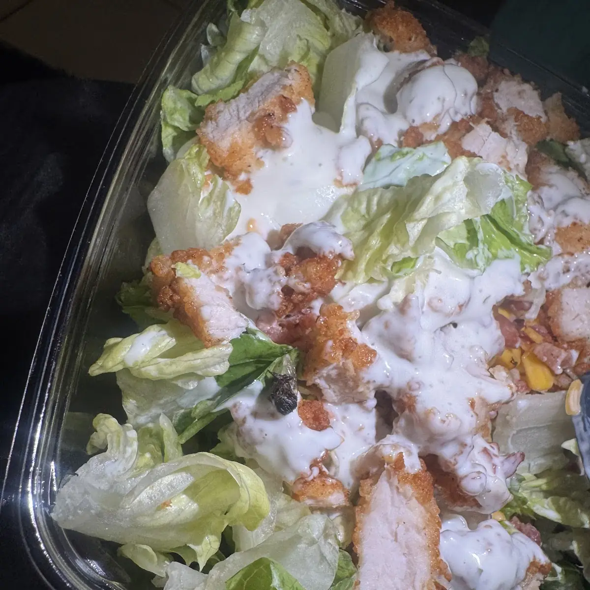 Chicken Caesar Salad