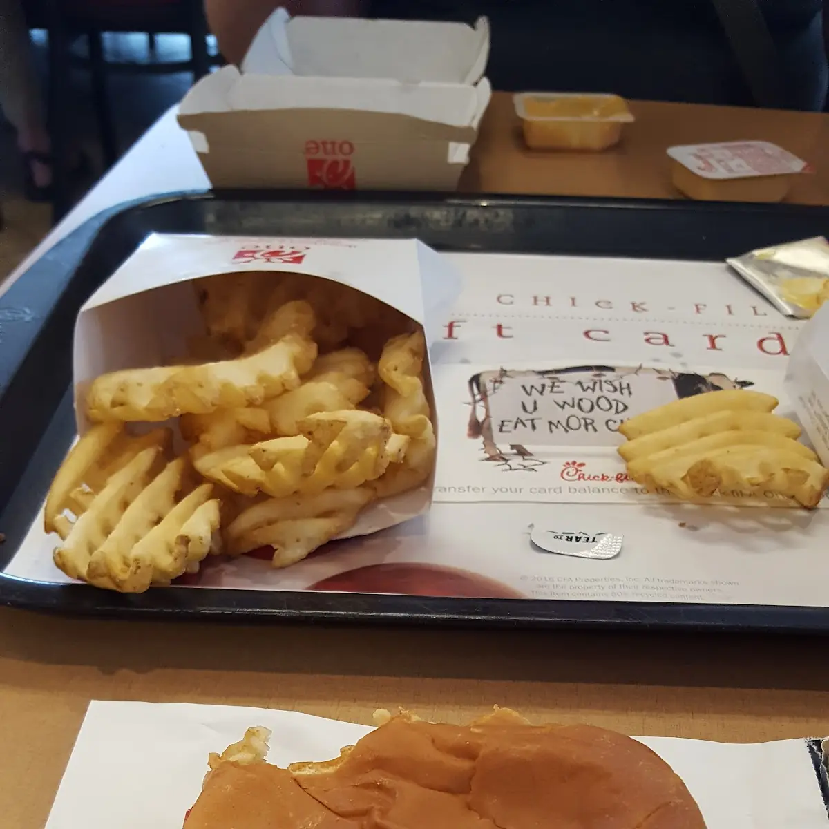 Fried Chicken and Waffle Fries