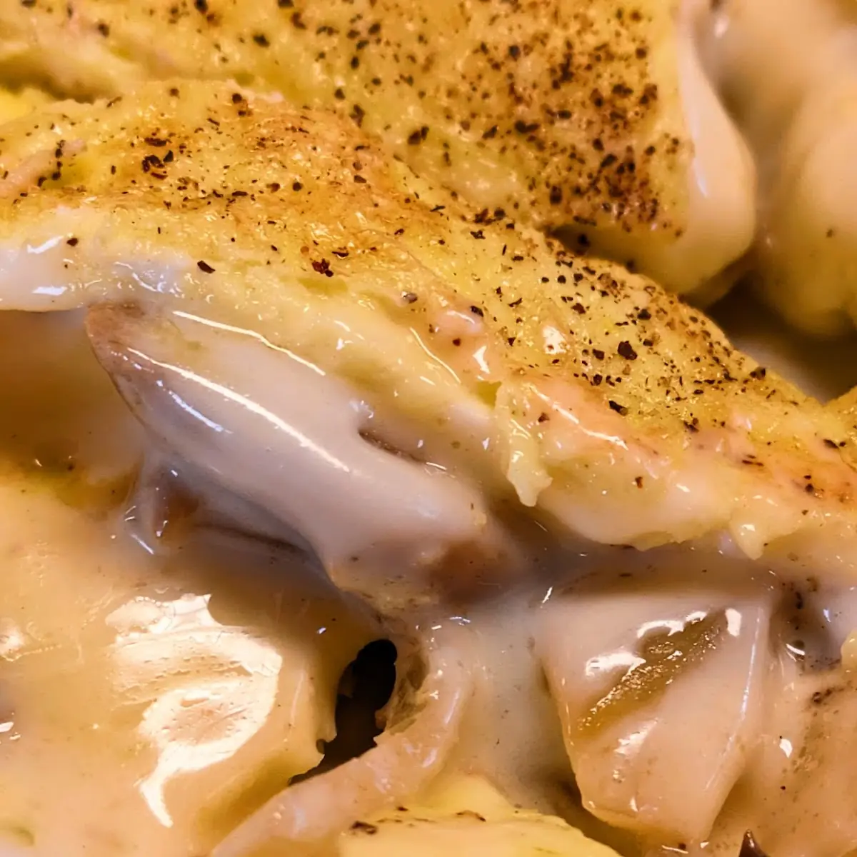 Mushroom and Cheese Omelette