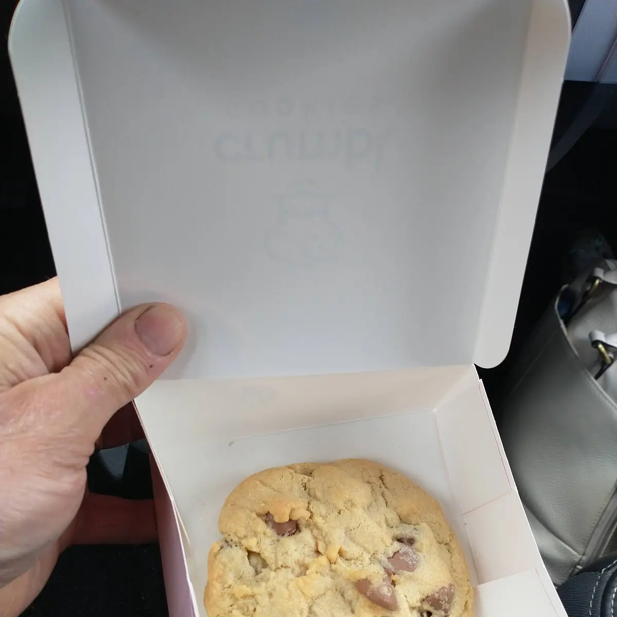 Warm Chocolate Chip Cookie