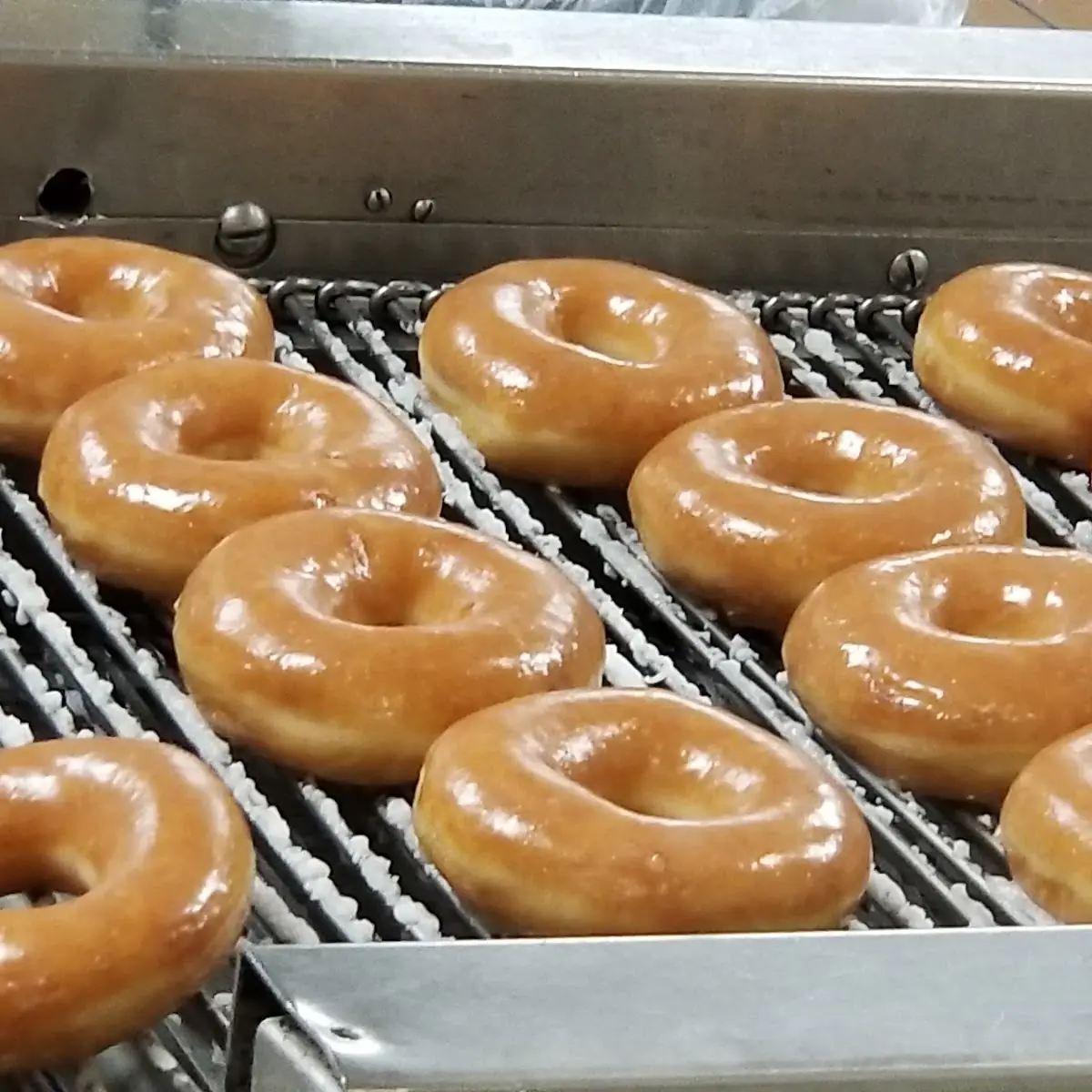 Dozen Original Glazed Doughnuts