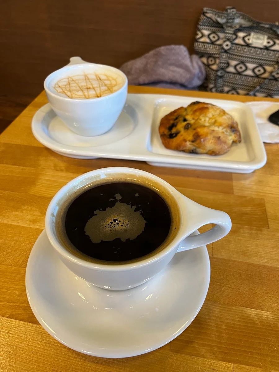 Blueberry Muffin