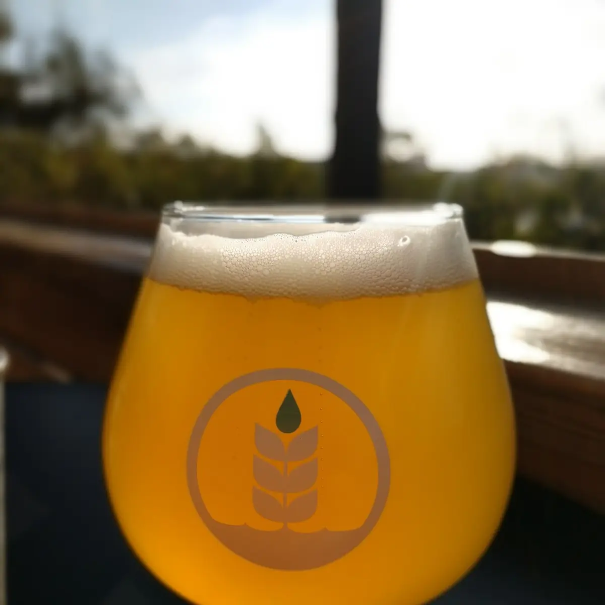 Beer Tasting Flight