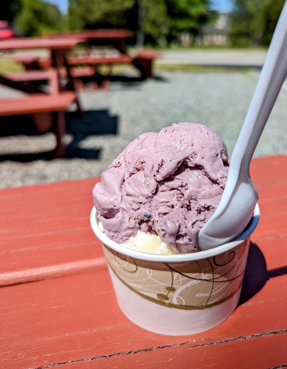 Blueberry Pie Ice Cream