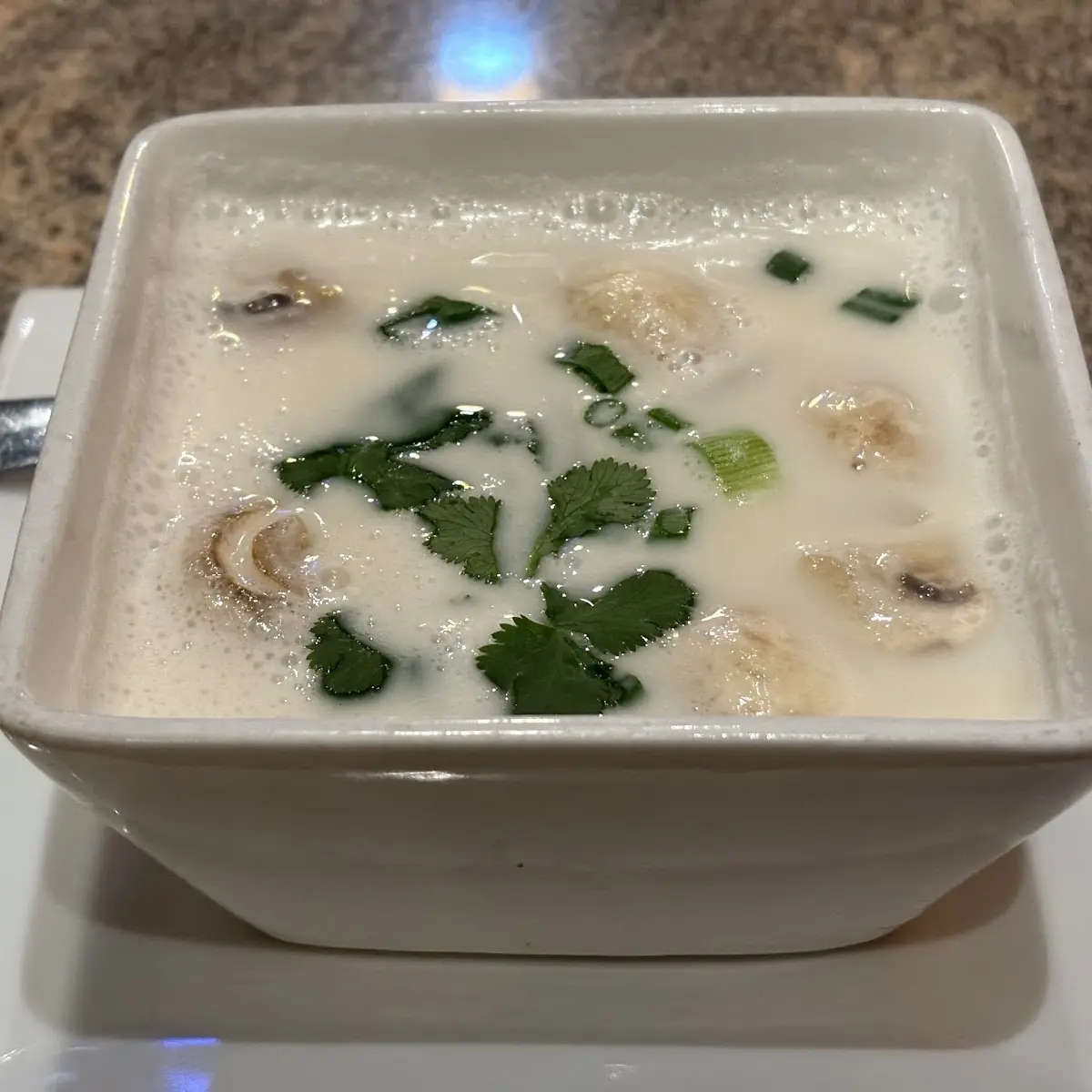 Thom Kha Soup
