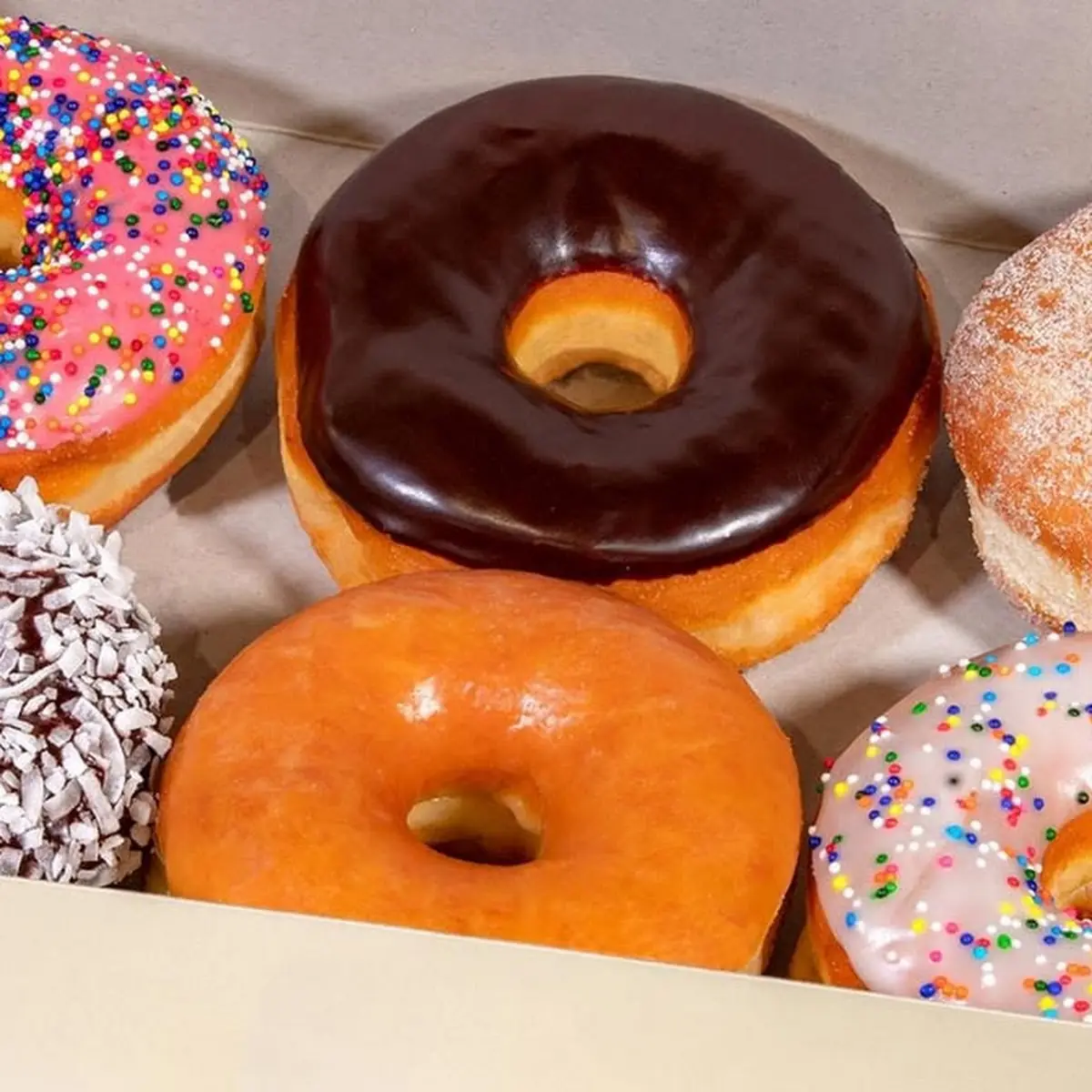 Doughnut