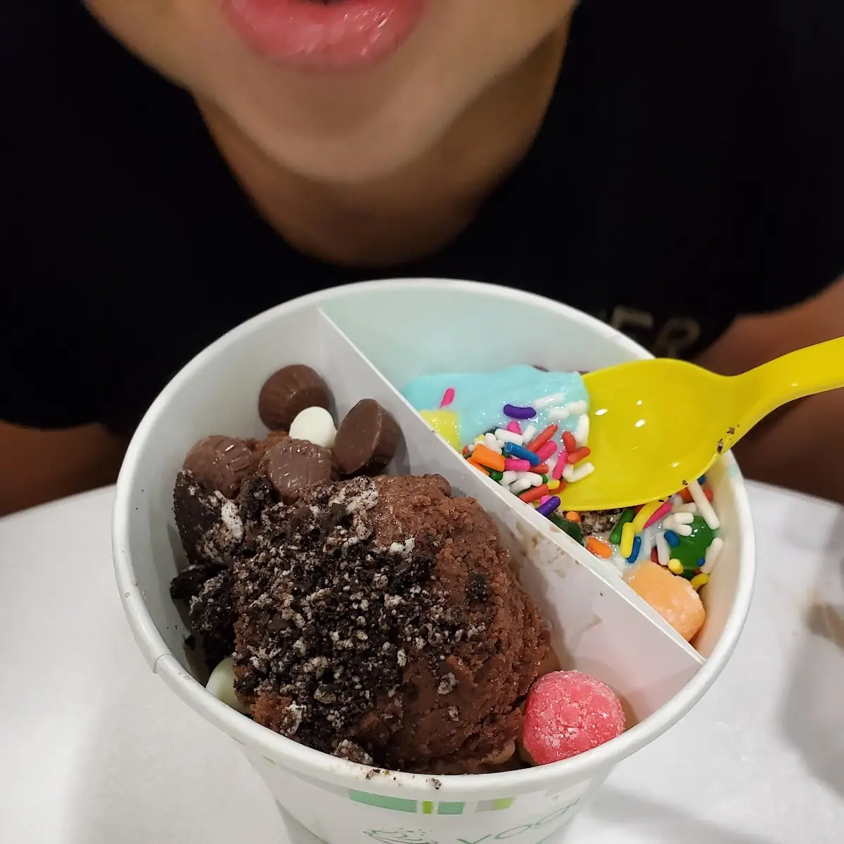 Chocolate Ice Cream