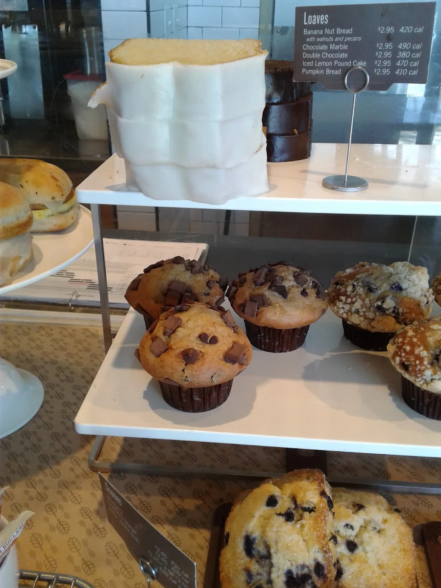 Blueberry Muffin