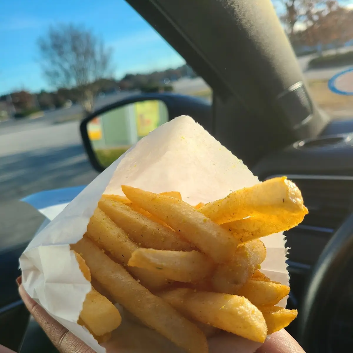 Garlic Parmesan Fries