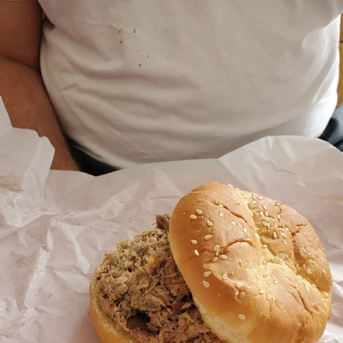 North Carolina Style Pulled Pork Sandwich
