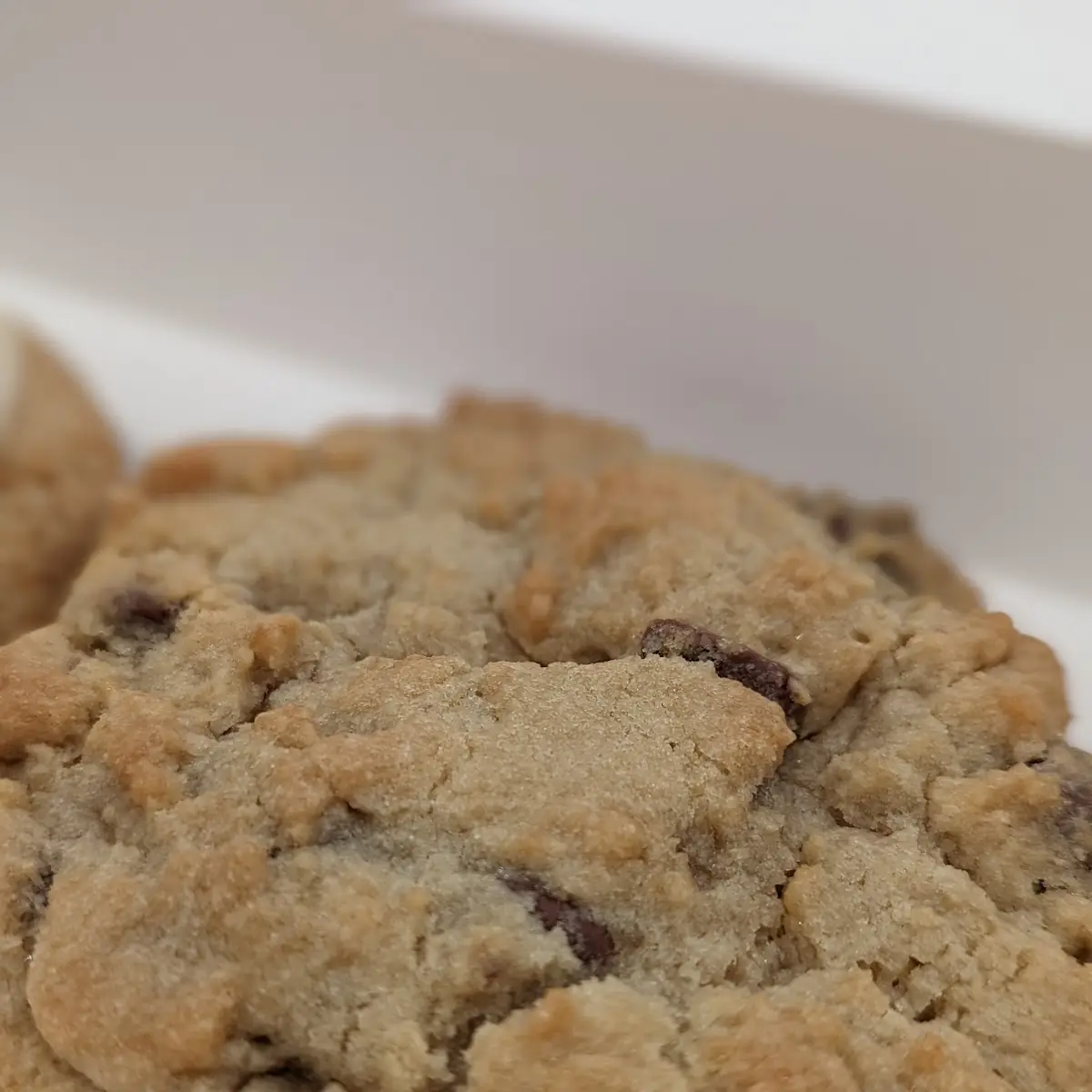 Chocolate Chip Cookie