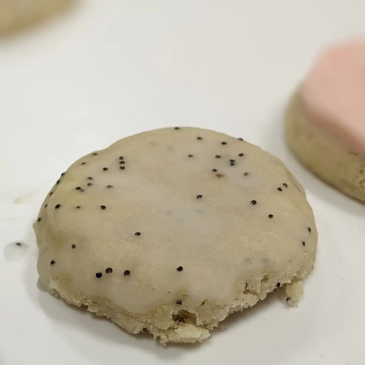 Lemon Poppy Cookie