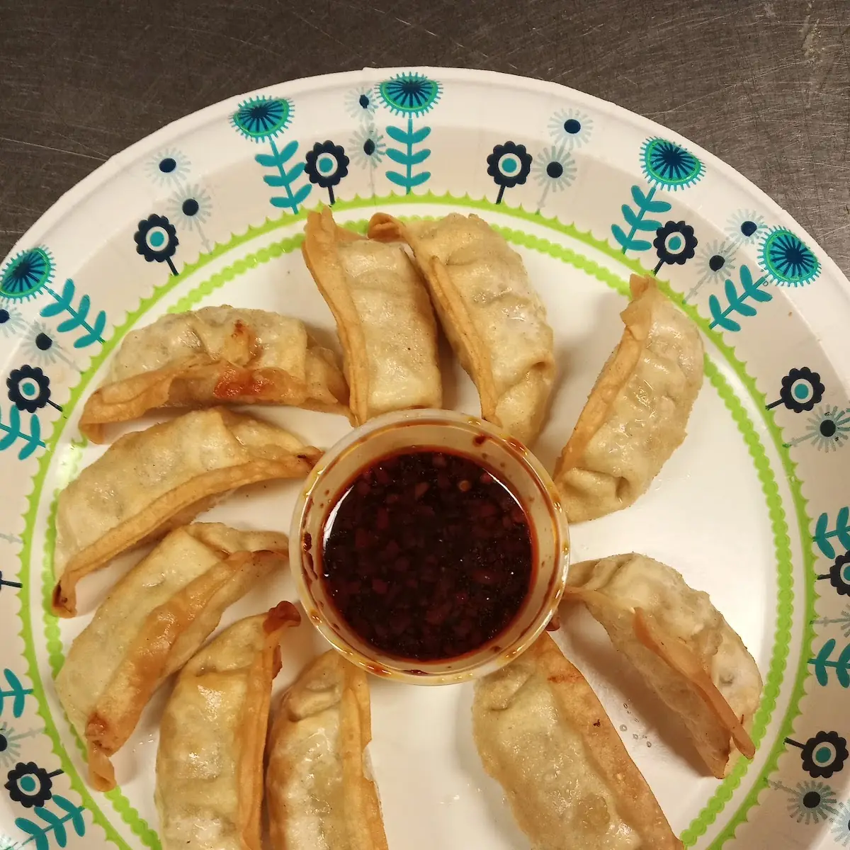 Steamed or Fried Dumplings 10