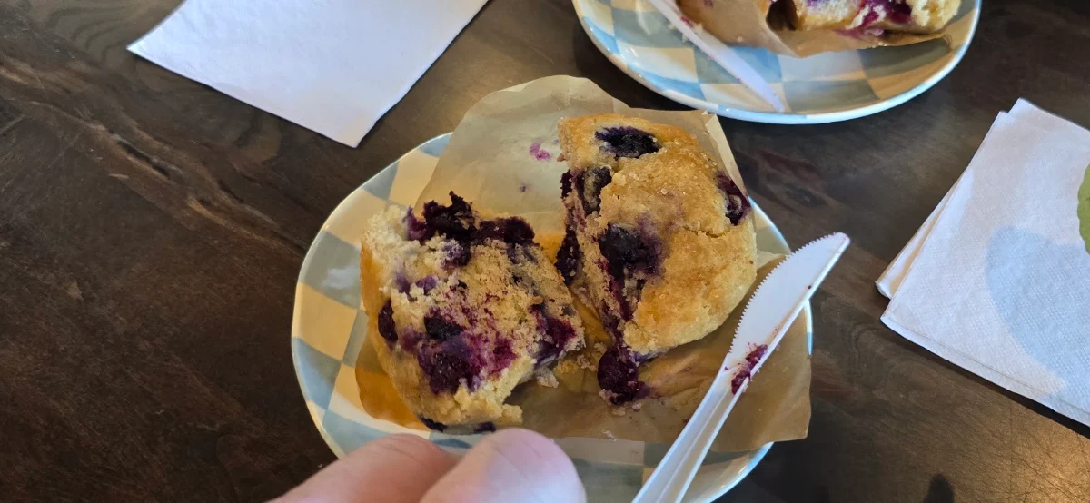 Blueberry Muffin