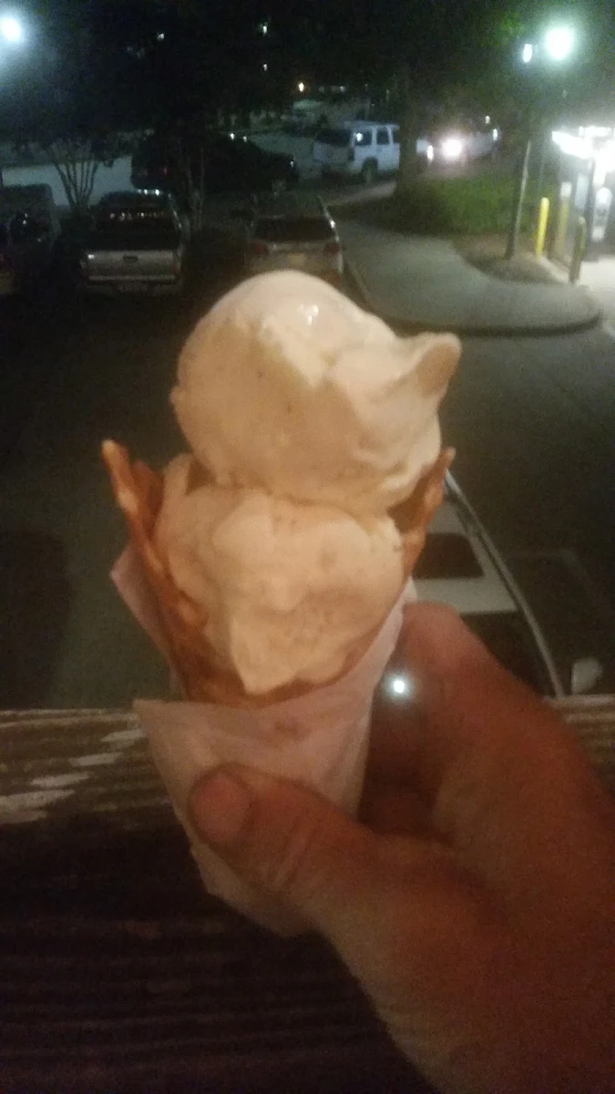 Vanilla Bean Ice Cream