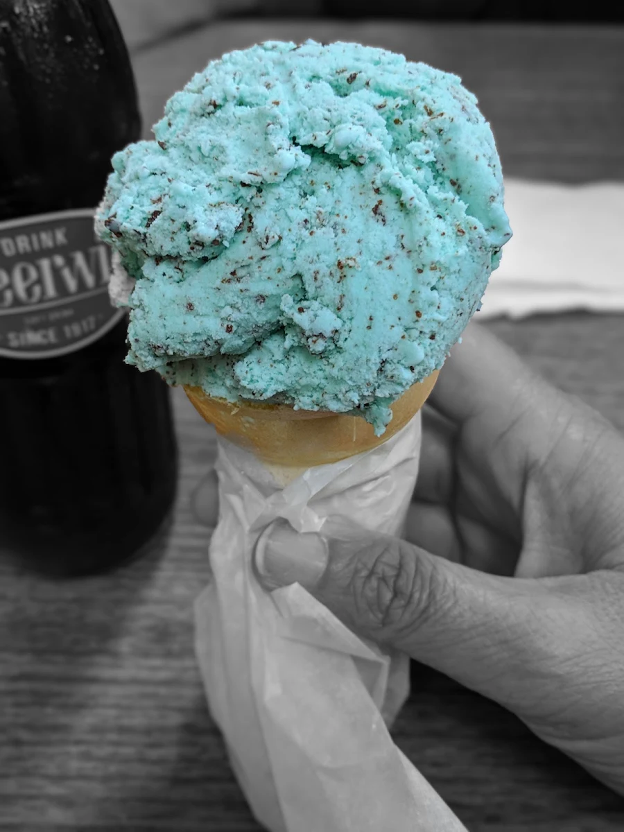 Chocolate Chip Mint Ice Cream