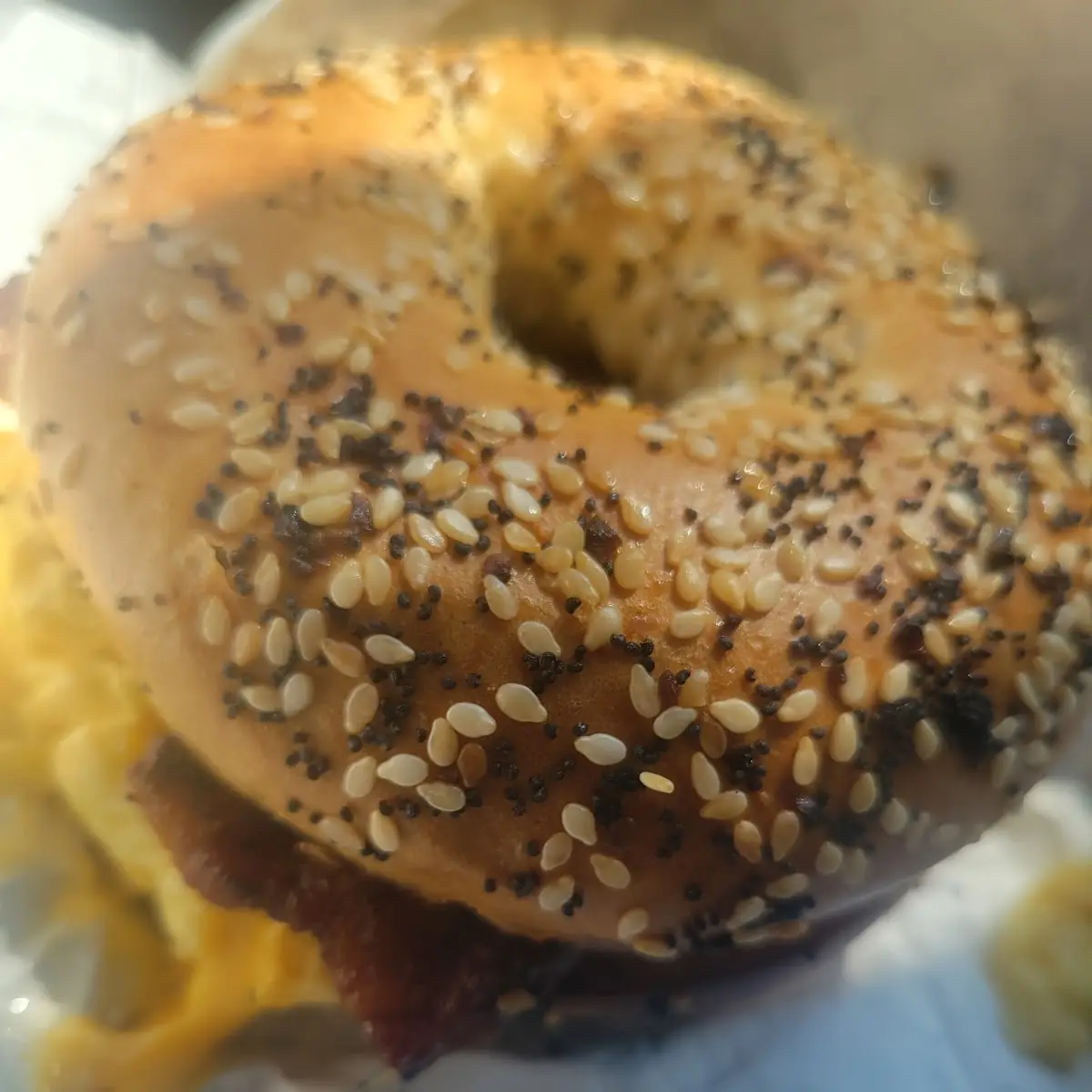 Bacon Egg and Cheese on Everything Bagel