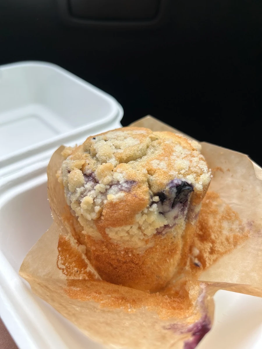 Blueberry Muffin
