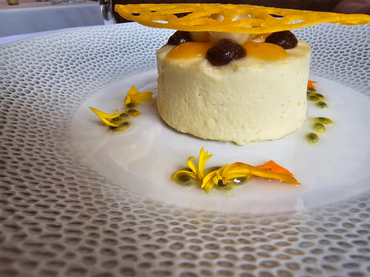 Citrus Yogurt Panna Cotta