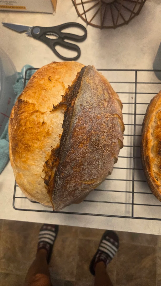 Classic Sourdough Boule