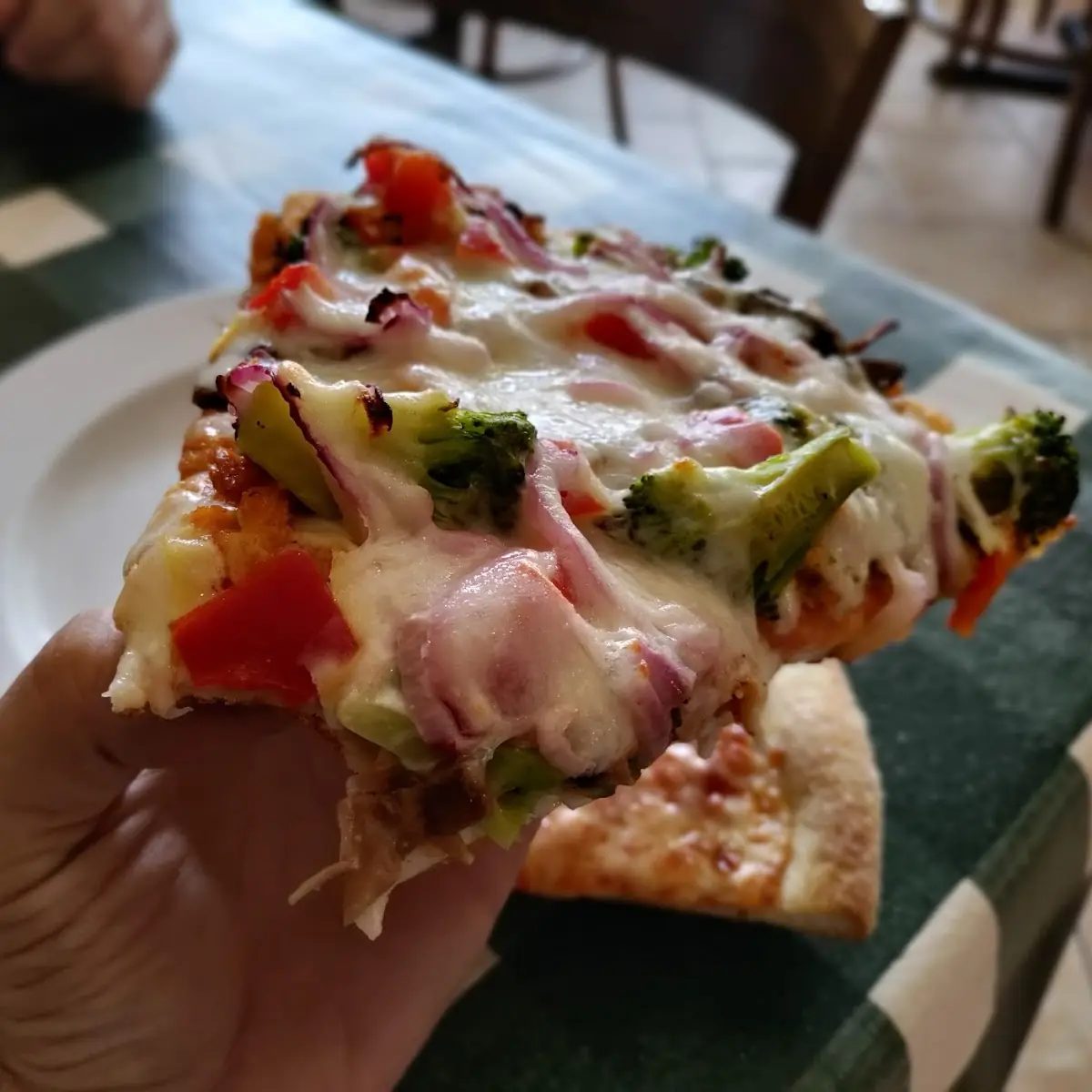 Veggie Pizza Slice