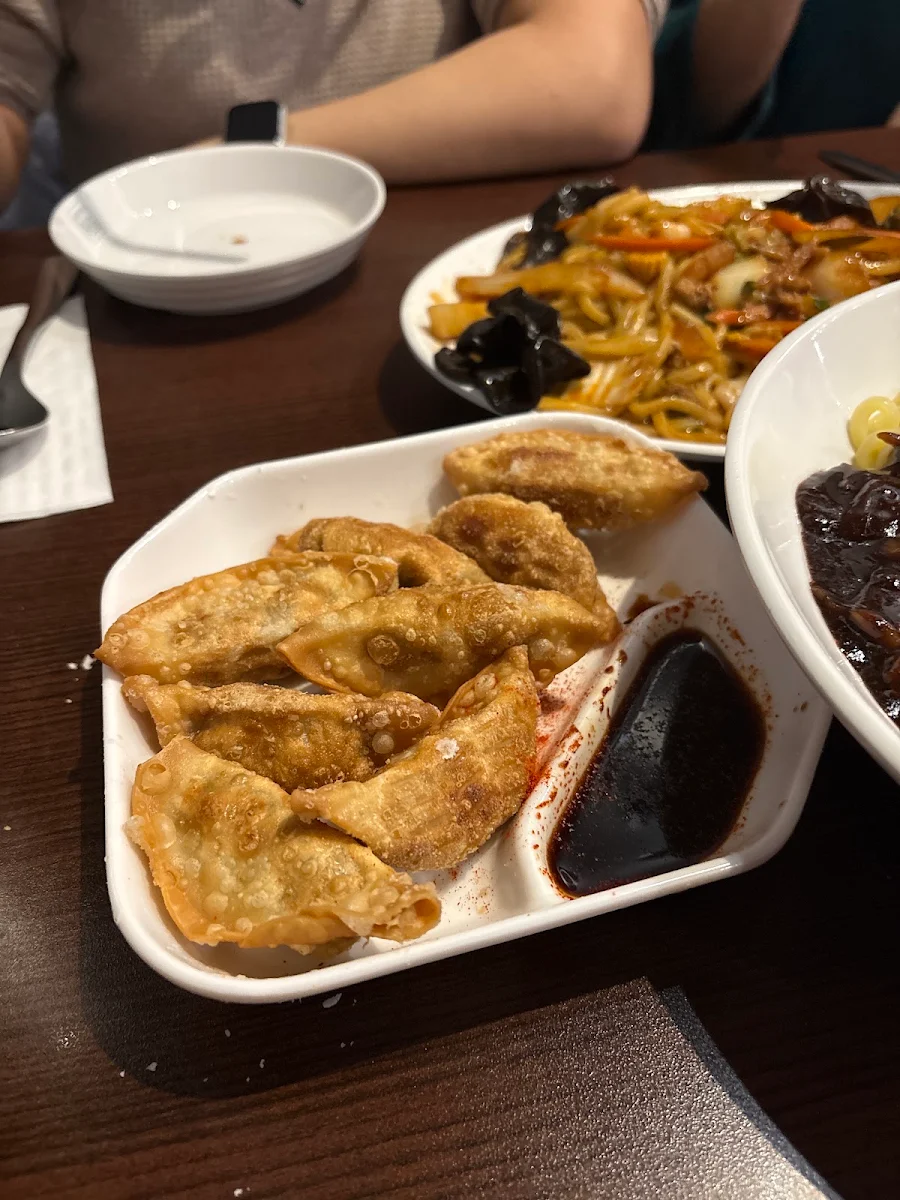 Fried Dumplings 튀김만두, KIM'S NOODLE Steeles