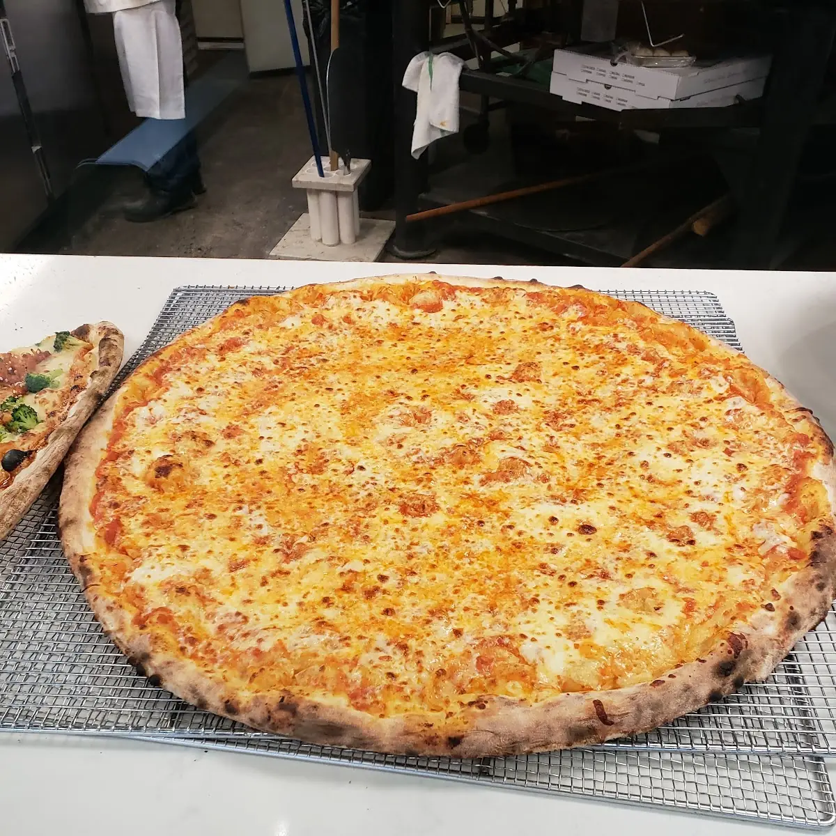 Freshly Made Cheese Pizza