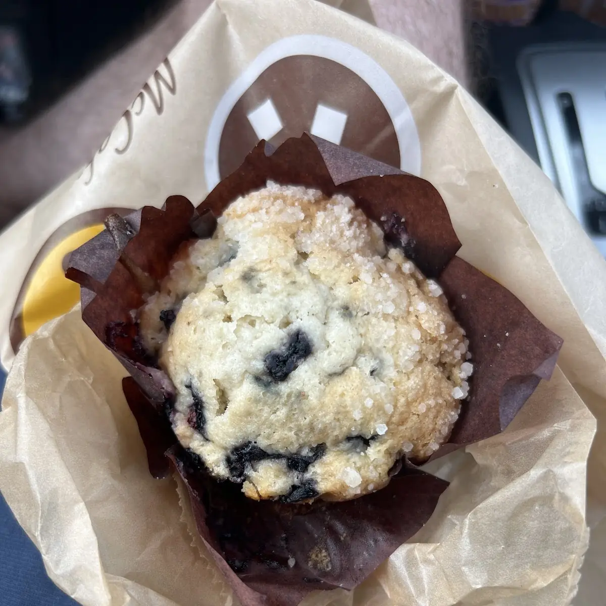 Blueberry Muffin