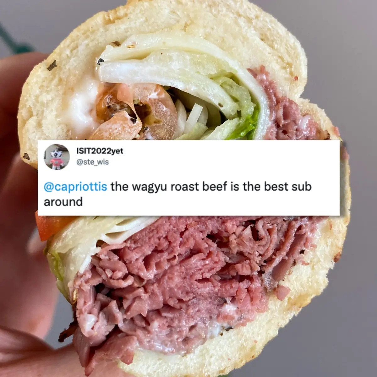 Homemade Roast Beef Sub