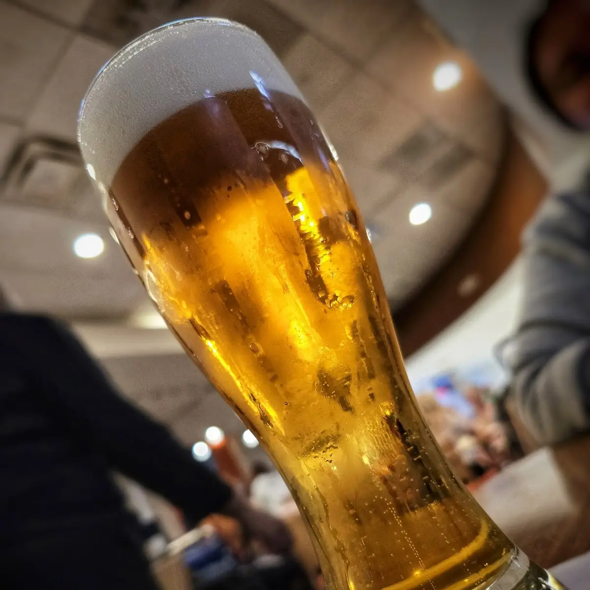Goose Island IPA