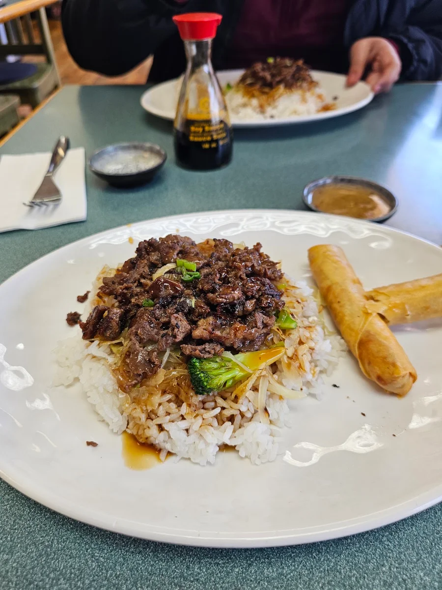 Beef Teriyaki and Spring Rolls, Pizza Rolla