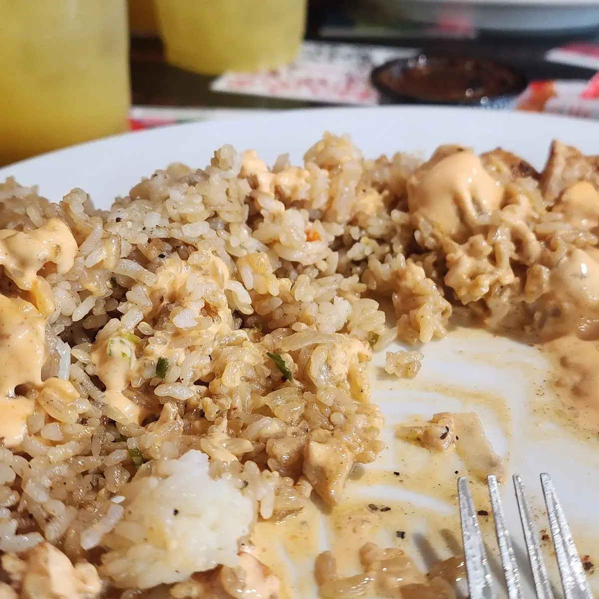 Chicken Hibachi and Fried Rice