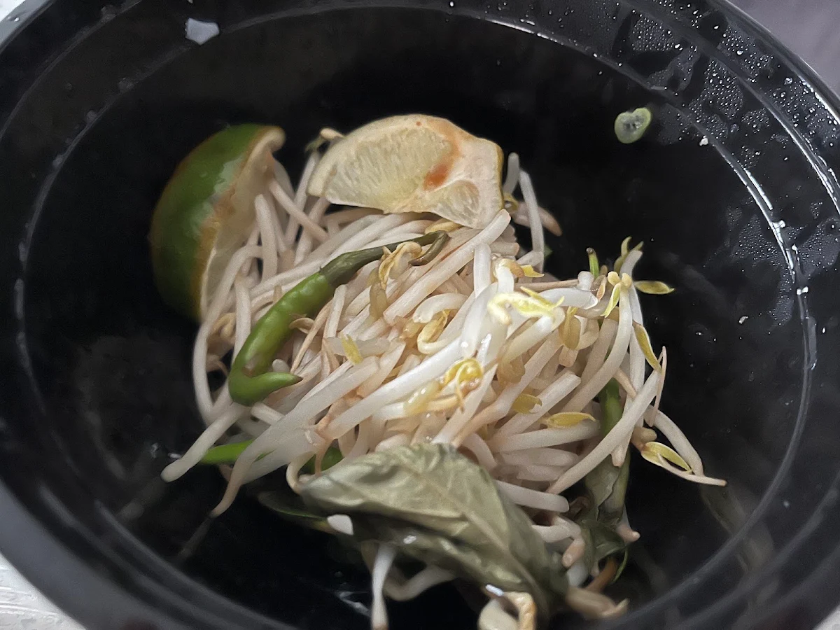 Bean Sprouts