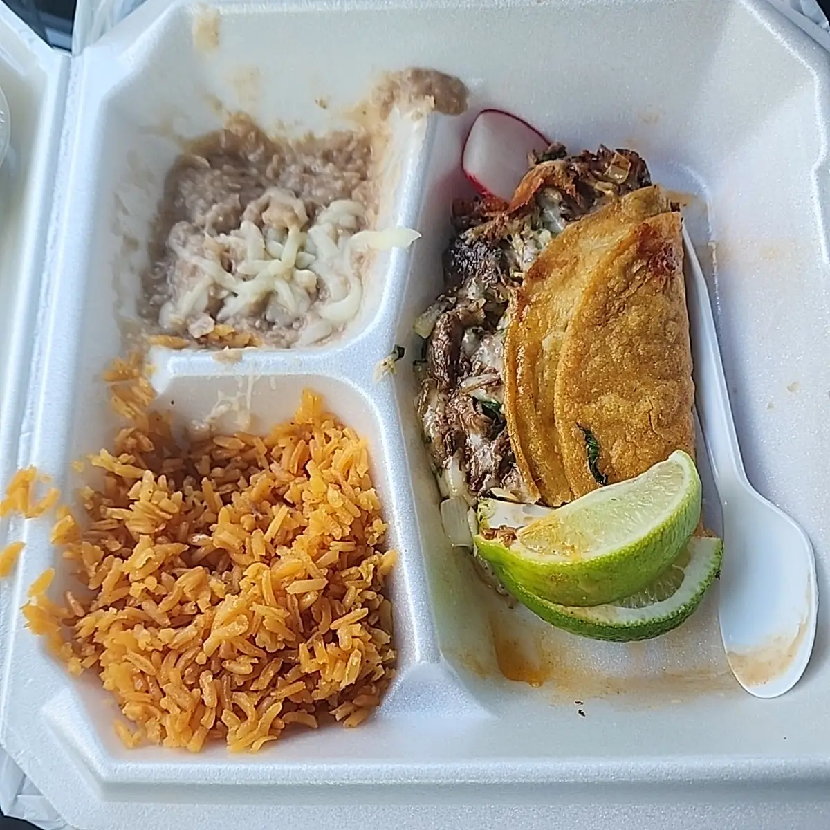 Cheese Quesadilla