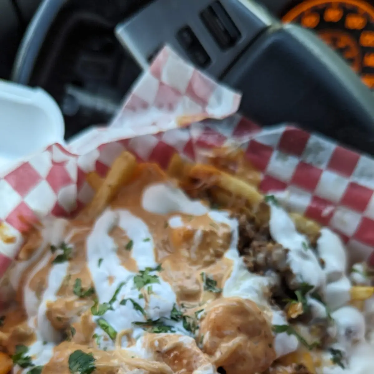 Surf N Turf Nacho Fries